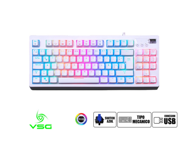 VSG